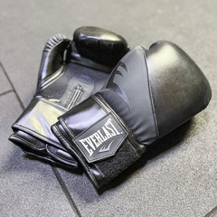 Everlast Ex Boxing Glove 16oz