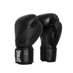 Everlast Ex Boxing Glove 12oz