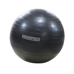 Armortech Anti-burst Gym Ball